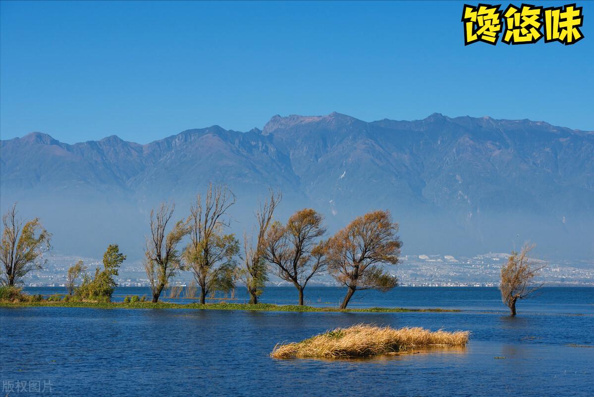 物欲横流的真正爱情,物欲横流爱情还能相信吗