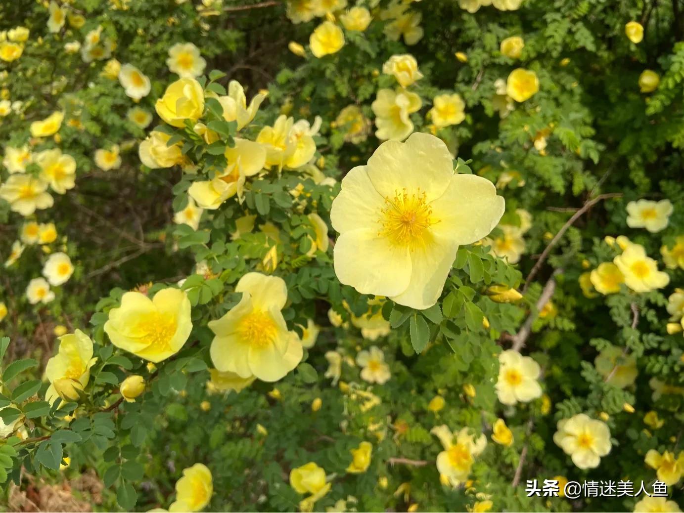 淘宝没流量怎么引流,店铺流量来源和店铺引流的方法