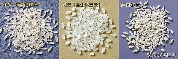 两汉的发展和成就,两汉时期的农业有何成就