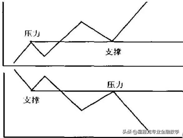 星雅龙深度分析,星雅龙课程怎么样