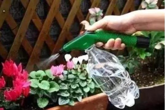 小苏打养花防烂根,小苏打养花方法花叶子发黄怎么办