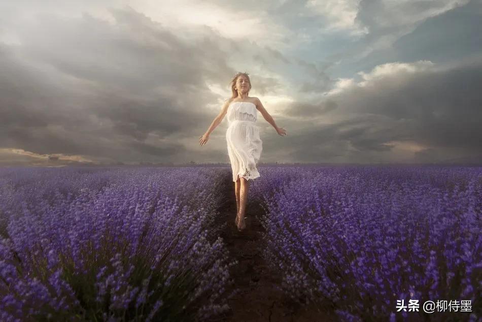 拍摄熏衣草的摄影技巧,薰衣草摄影教程