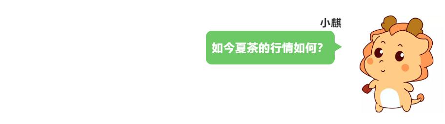 聊一聊生活那些事儿,聊一聊茶文化