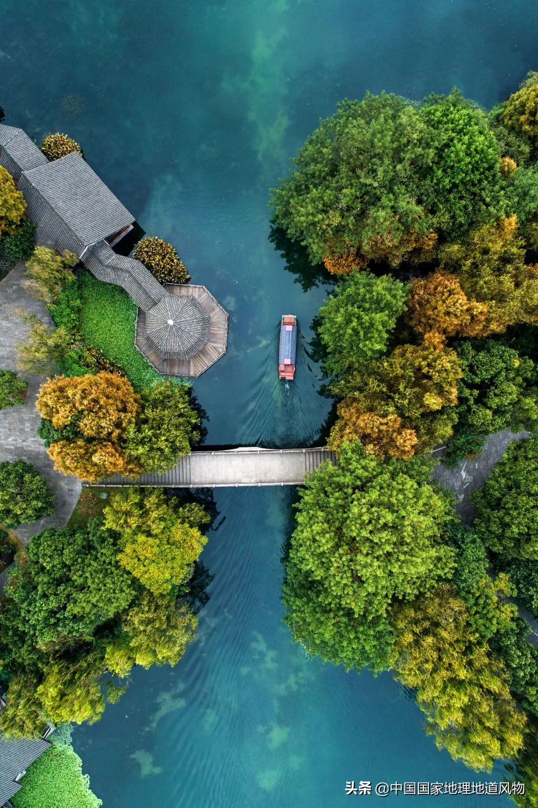 什么是西湖成语,什么是西湖莼菜