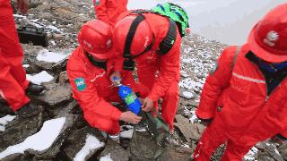 郑州暴雨事件的感人故事情节,郑州暴雨故事系列