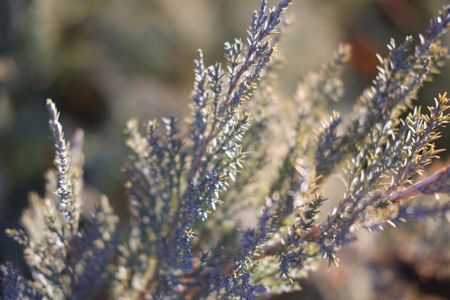 富士xc35f2定焦镜头怎么拍照,富士xc35mm和xc15-45mm