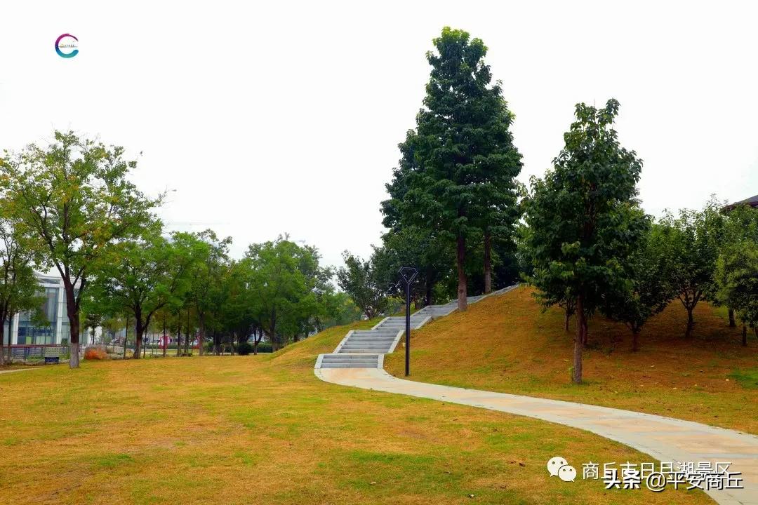 商丘日月湖景区初冬美景惹人醉,商丘市日月湖风景视频