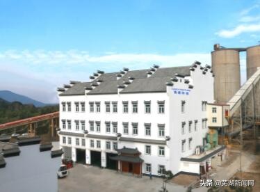 海螺集团2021年世界500强排多少位,海螺中国500强排名