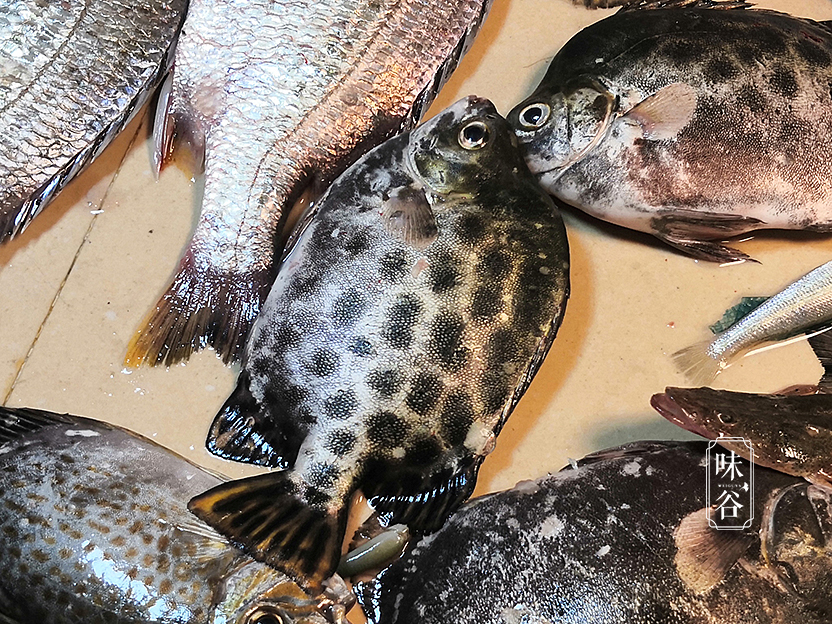 什么鱼鱼刺少又好吃还便宜,鱼刺少什么鱼最好吃