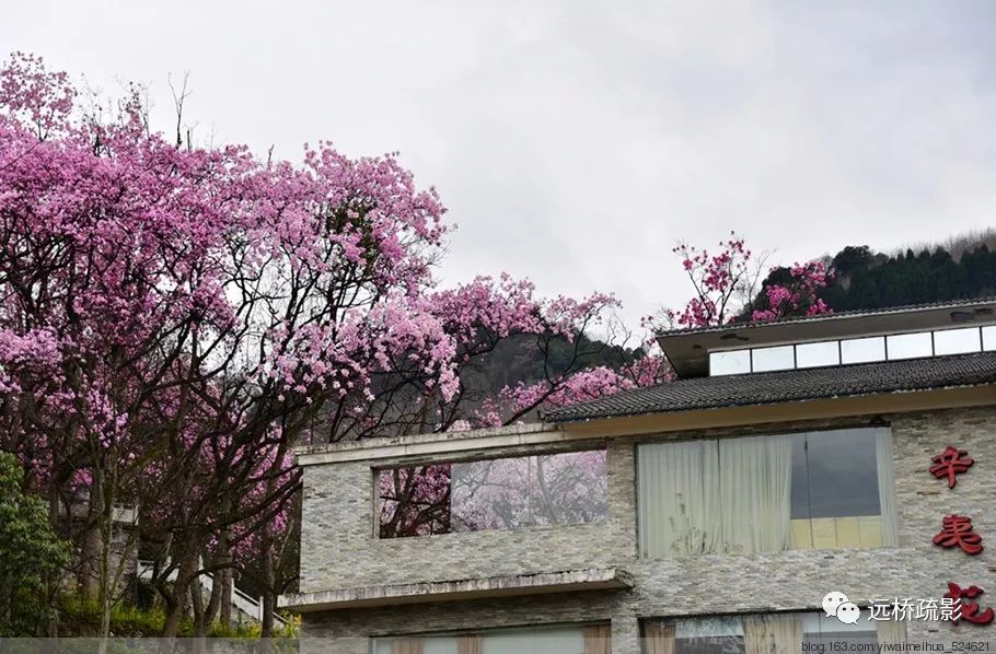 药王谷里觅旧迹（原图文）