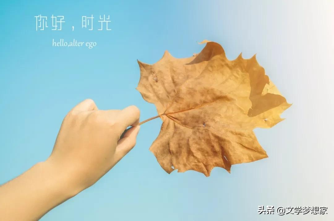 有关宝藏的优美句子,最美诗词唯美短句