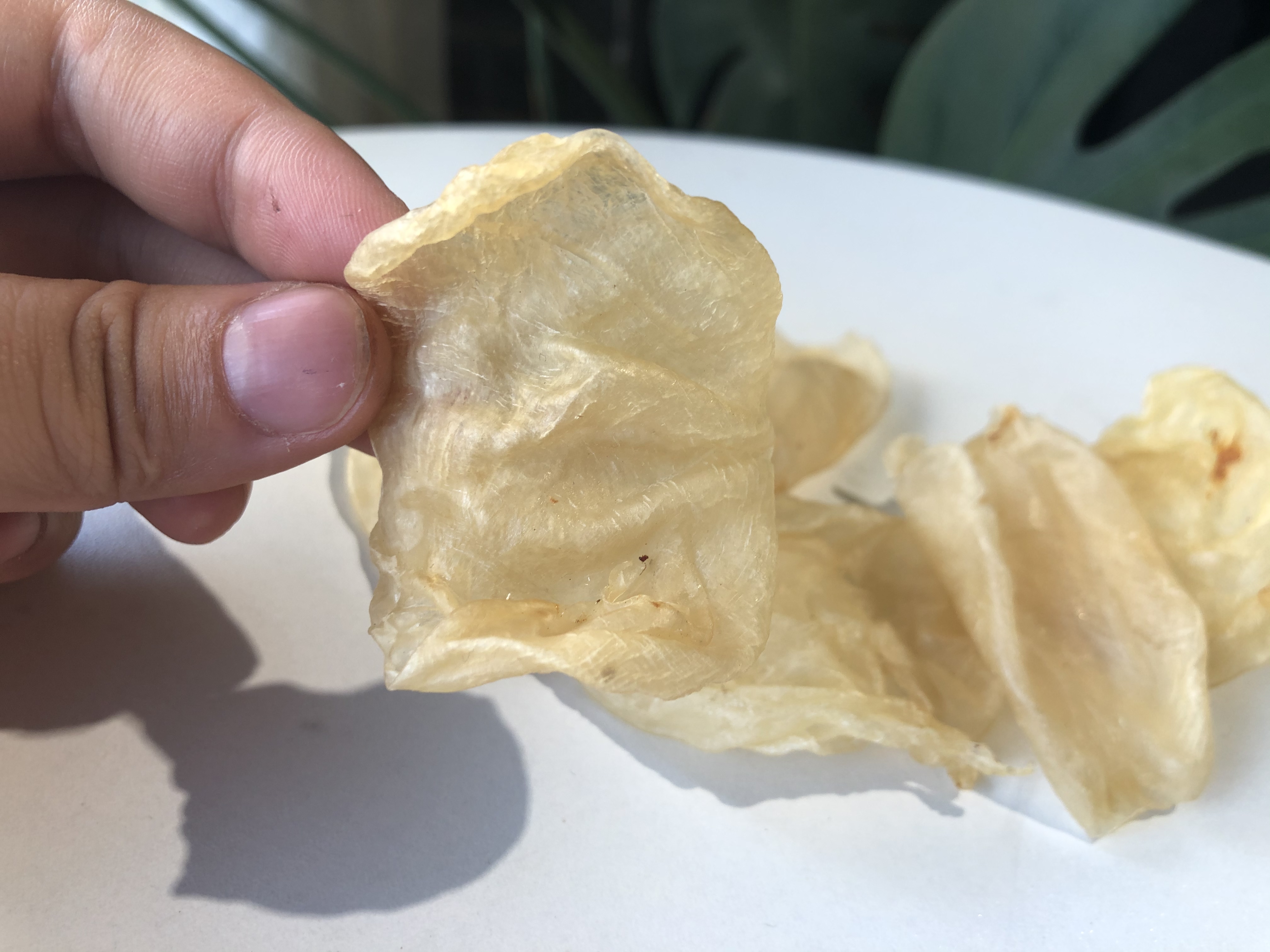 家庭食用哪种黄花胶比较好,官栈轻食花胶和即食花胶区别