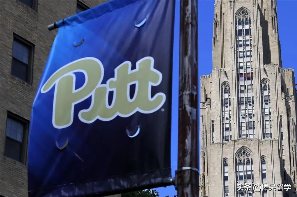 够不上常春藤？听腻了加州系？来看下传说中的“公立常春藤”吧