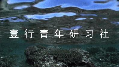 从创业到转行的视频,从创业者到投资人的华丽转身