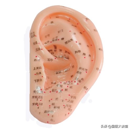 中医望耳诊病的内容和价值,中医诊断望闻问切哪个最重要