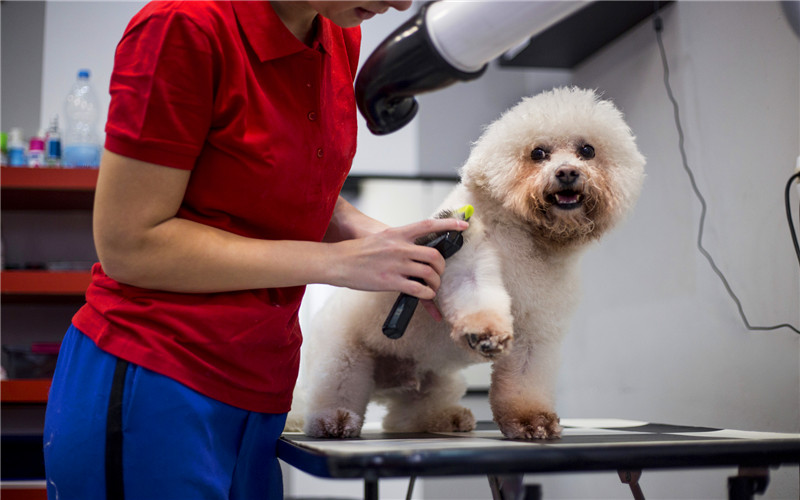 假如想开一家实体店做什么项目好,现在开实体店哪些项目比较好做