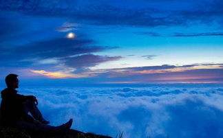 你的命运怎么样,你的命运会如何