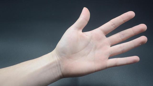 老茧跟茧子,老茧和茧子