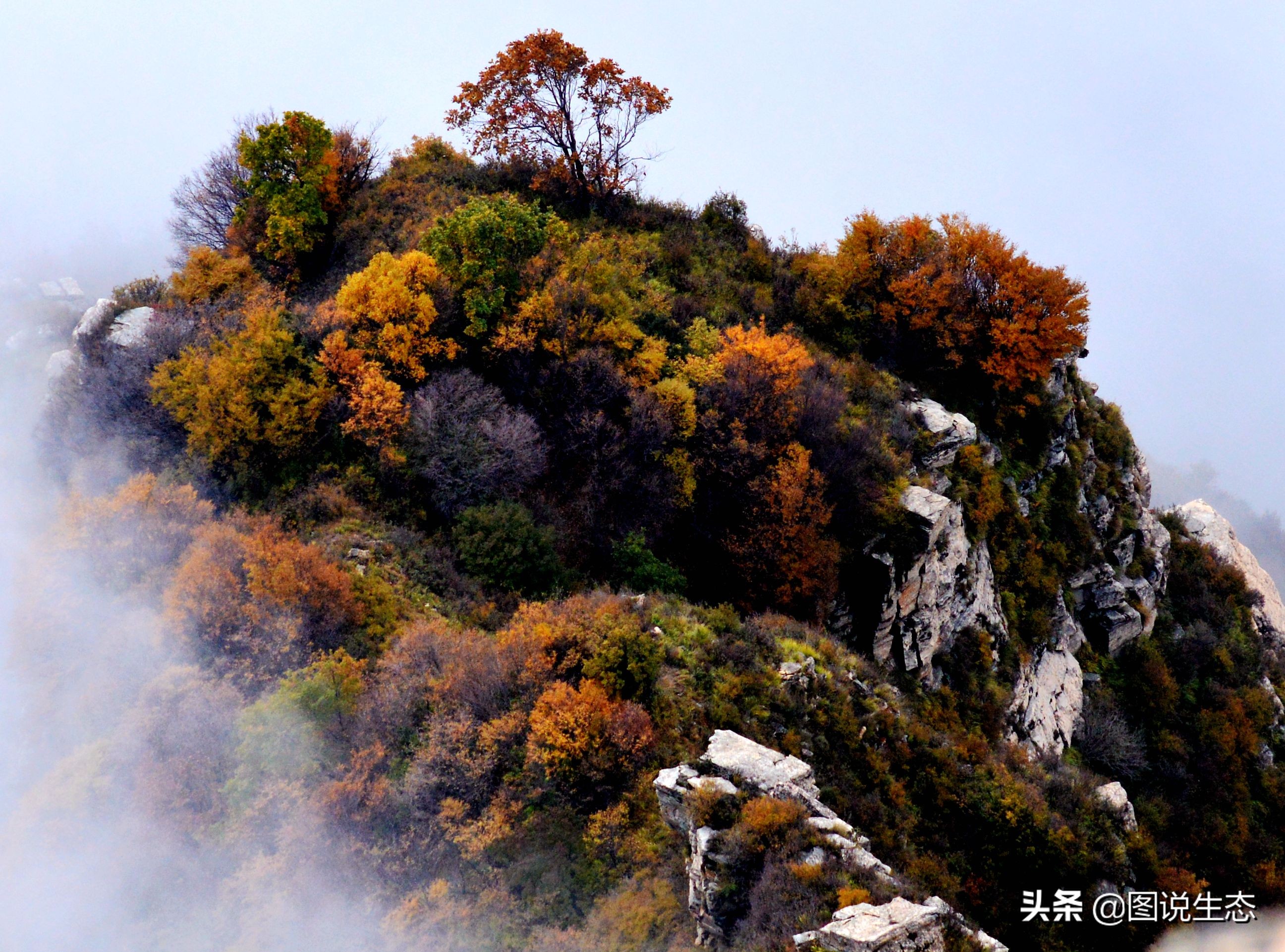 龙泉关风景区,阜平龙泉关自然村落