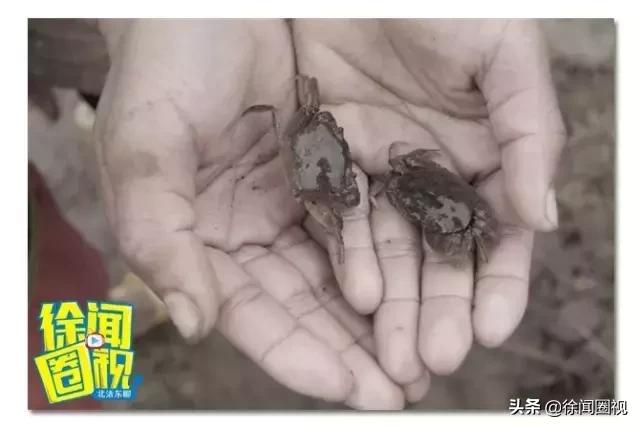 致我们回不去的童年电视剧,致我们回不去的童年完整版