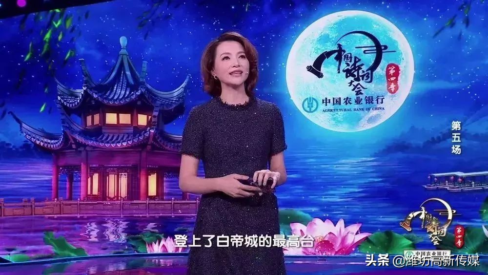 董卿诗词大会经典语录合集,诗词大会董卿经典语录