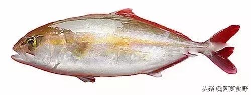 便宜常见海鲜鱼有哪些,各种名贵鱼的种类