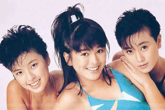 袁洁莹为何息影,袁洁莹巅峰时的美貌