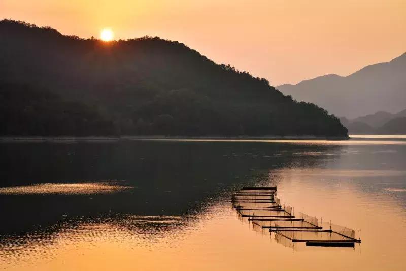 把千岛湖“装”进自家民宿，做了一个无敌湖景泳池，让无数人尖叫