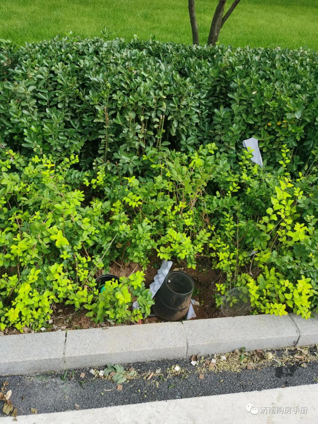 济南碧桂园凤凰城最新房价,济南碧桂园最新的情况