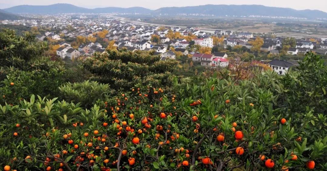 苏州东山西山包吃住农家乐推荐,苏州西山林屋洞附近包吃包住民宿