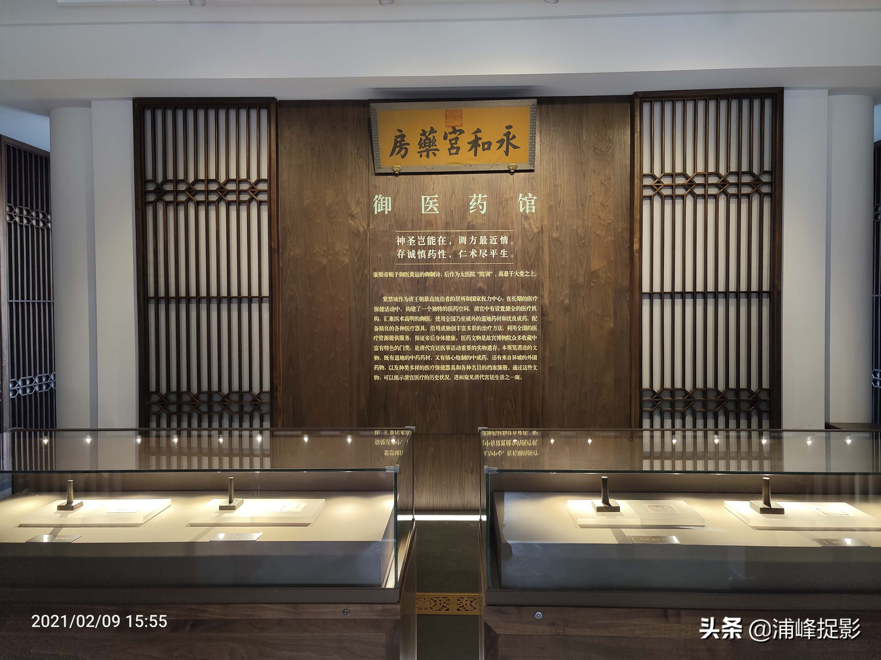 故宫慈禧太后人参健脾丸,故宫清宫医药展览