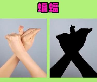 宝宝睡前玩的手影游戏,儿童手脑协调游戏