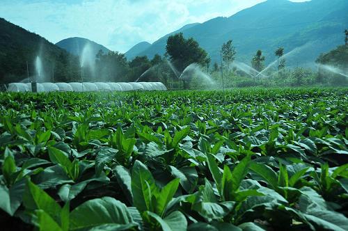 你不了解的敌敌畏,你不了解的煤层气