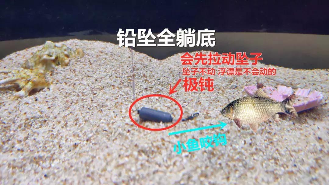 野钓调漂基础知识大全,野钓调漂最佳方法解读