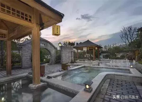 带宠物住宿酒店,带宠旅行酒店