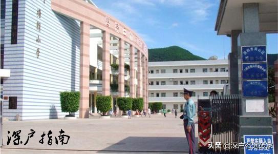 深圳龙岗平湖小一民办学校有哪些,深圳南山民办学校2022春季招生