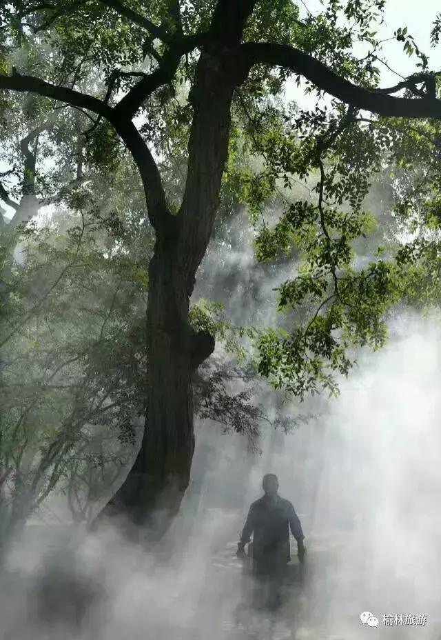 榆林市区网红打卡推荐,榆林网红打卡地晚上