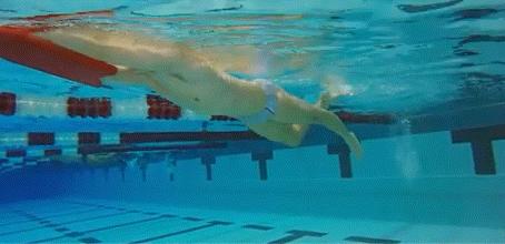 3步学会自由泳换气游得更轻松,三步骤让你掌握自由泳转身技术