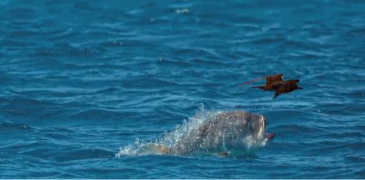 假期儿童纪录片推荐经典,青少年假期推荐纪录片