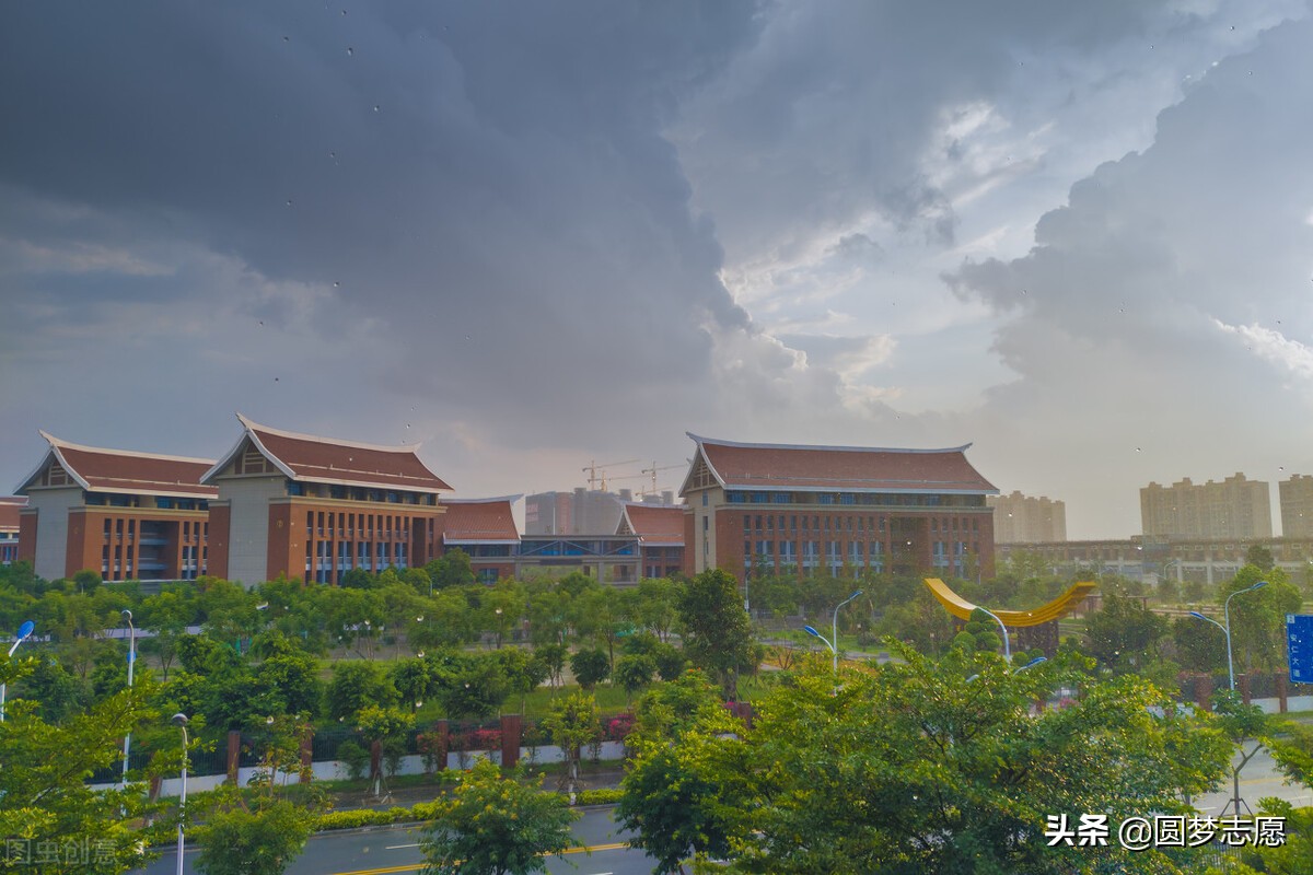 福建前十本科大学排名榜,福建集美大学全国排名