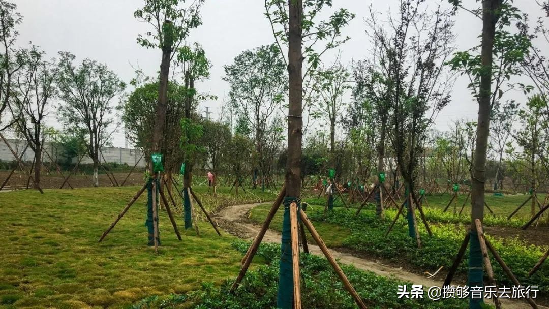 彭山竹韵廊公园,彭山竹韵廊在什么地方