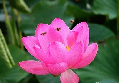 临颍：摄影家大咖走进三高，现场传授摄影秘籍