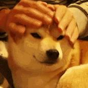 白带增多发黄是什么阴道炎,女下腹胀痛白带增多发黄什么情况