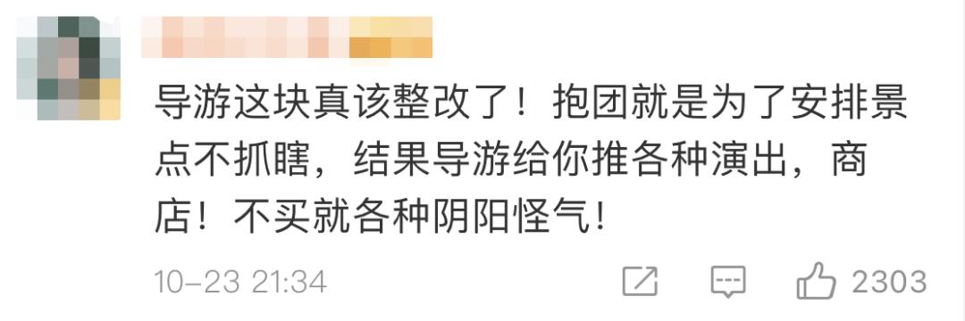 旅游团被导游买玉被骗,导游强迫买玉10000块