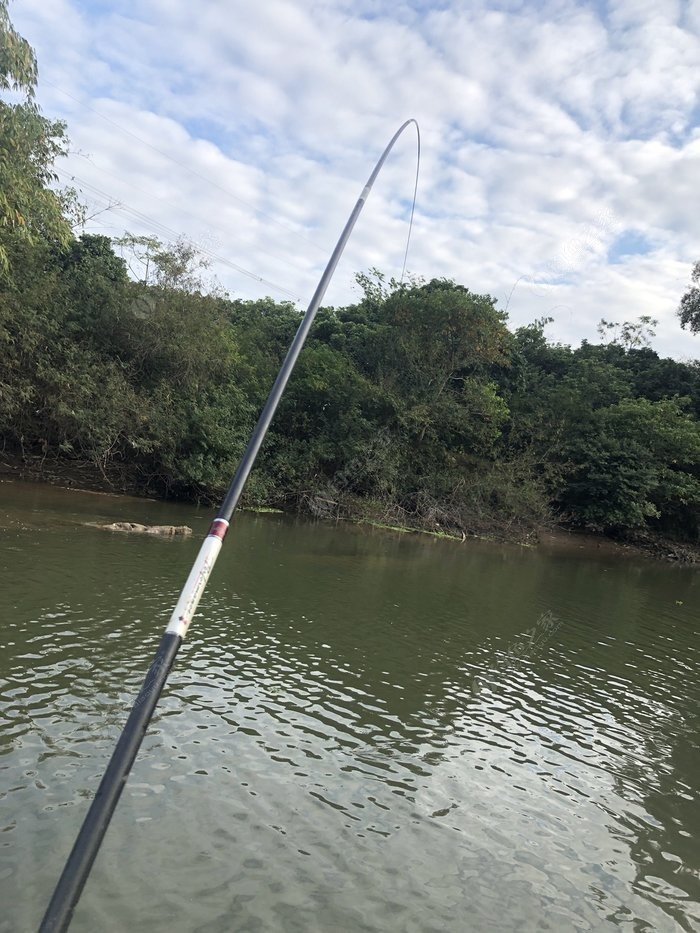 水底小鱼多就会没大鱼,自然水域没鱼情