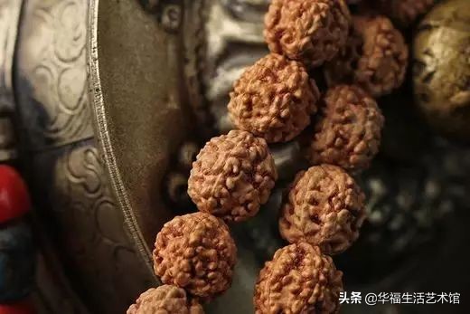 怎样挑选金刚是最好的,刚刚入手的金刚必须用水泡吗