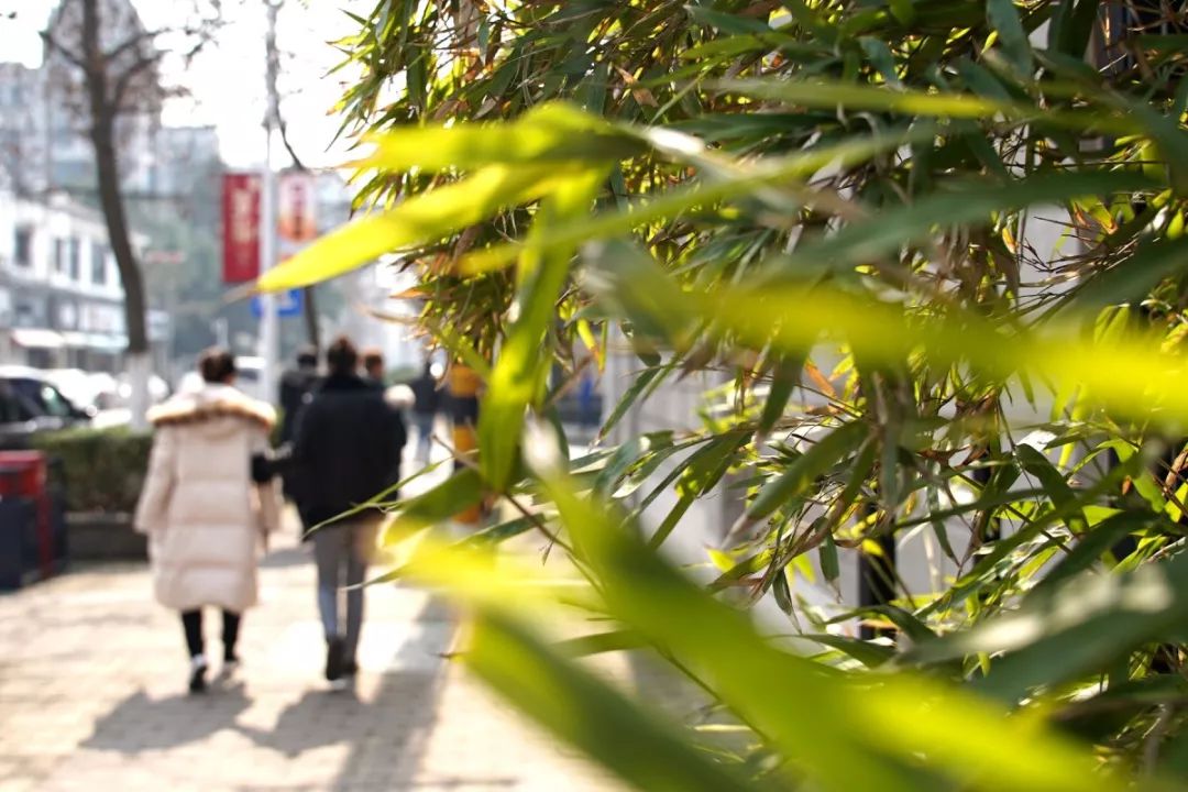 健康路熟不熟？这8家店你未必都吃过哇？