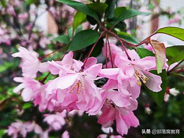 ps800*800像素拖图片进去很模糊,ps如何把不清晰的照片变清晰