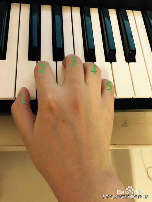 电子琴教学入门弹奏一首母亲,电子琴初学入门教程母亲