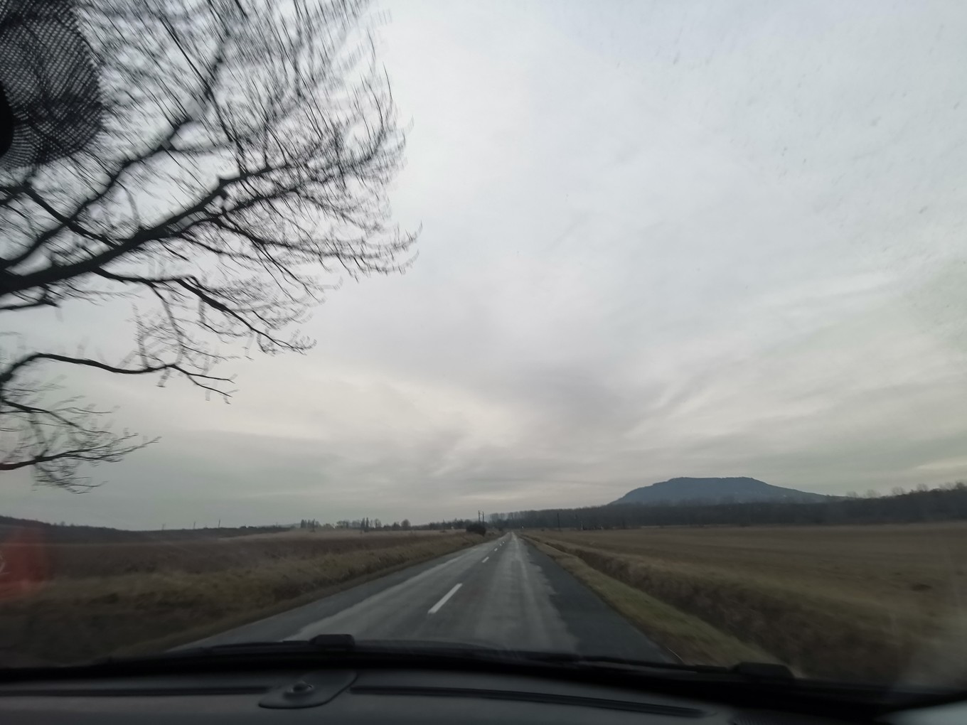 中欧旅游攻略多瑙河,中欧览秀城美食